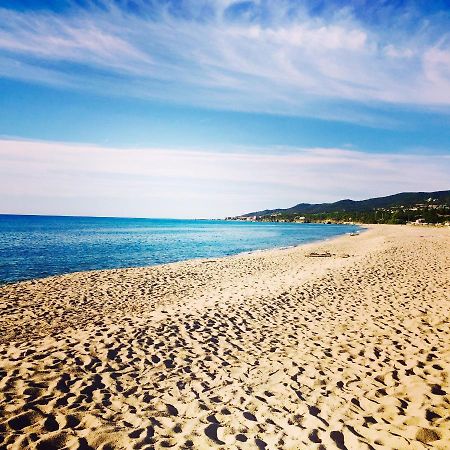 Palauma Plage Sari-Solenzara Exteriör bild